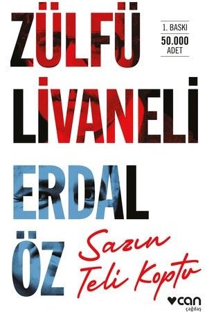 livnet: The String Broke / Sazın Teli Koptu (cover)